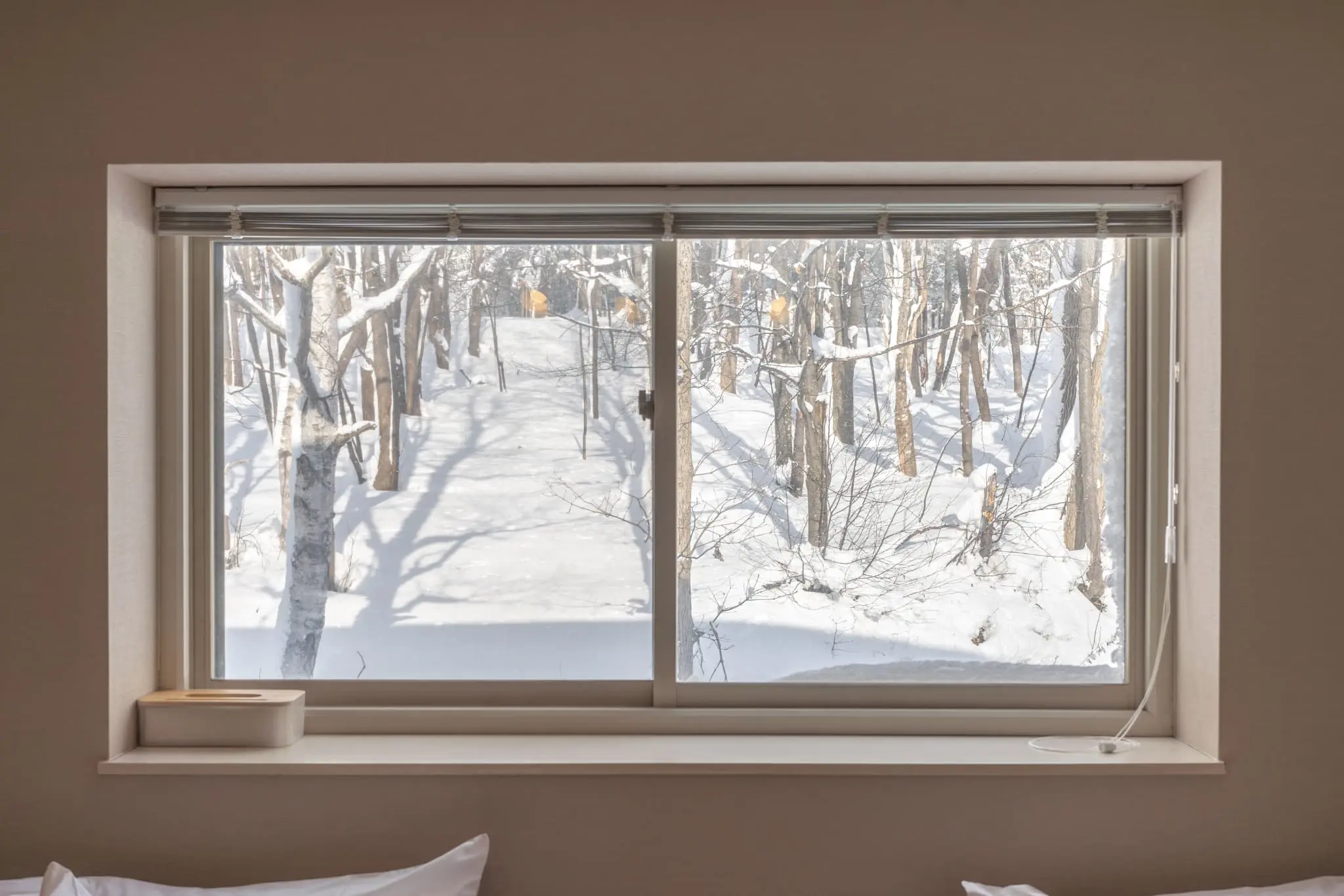 Snow Resort Hermitageの客室から見える雪景色