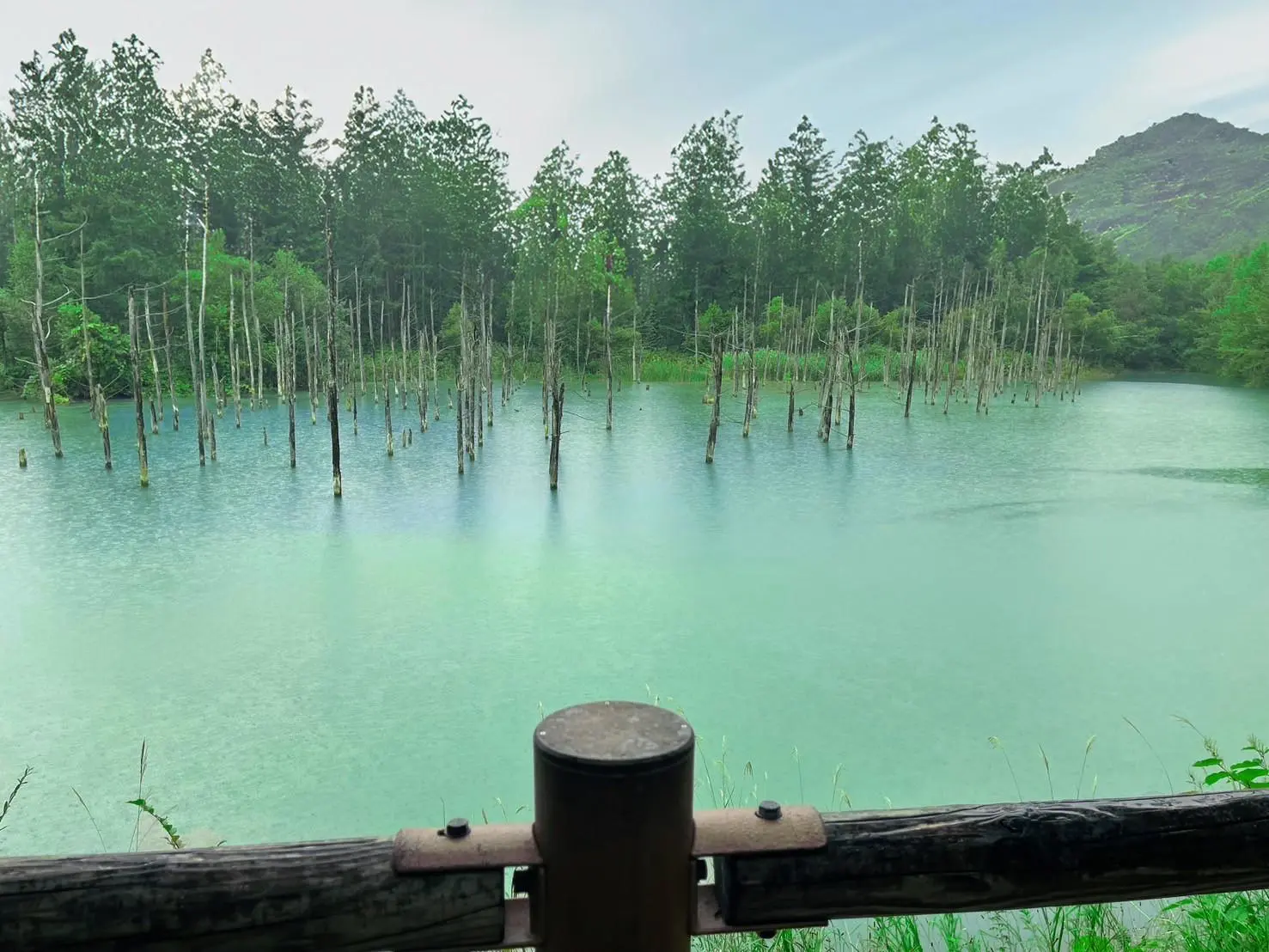 観光地
