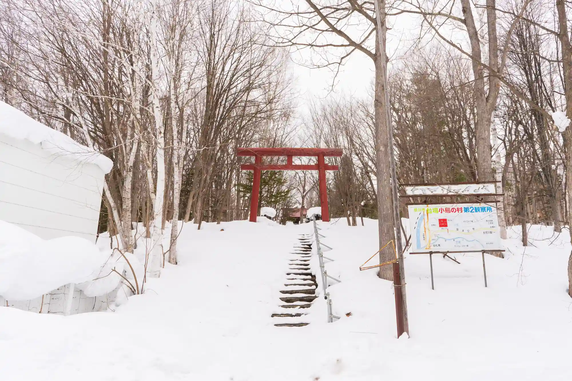 SNOW ACTIVITY