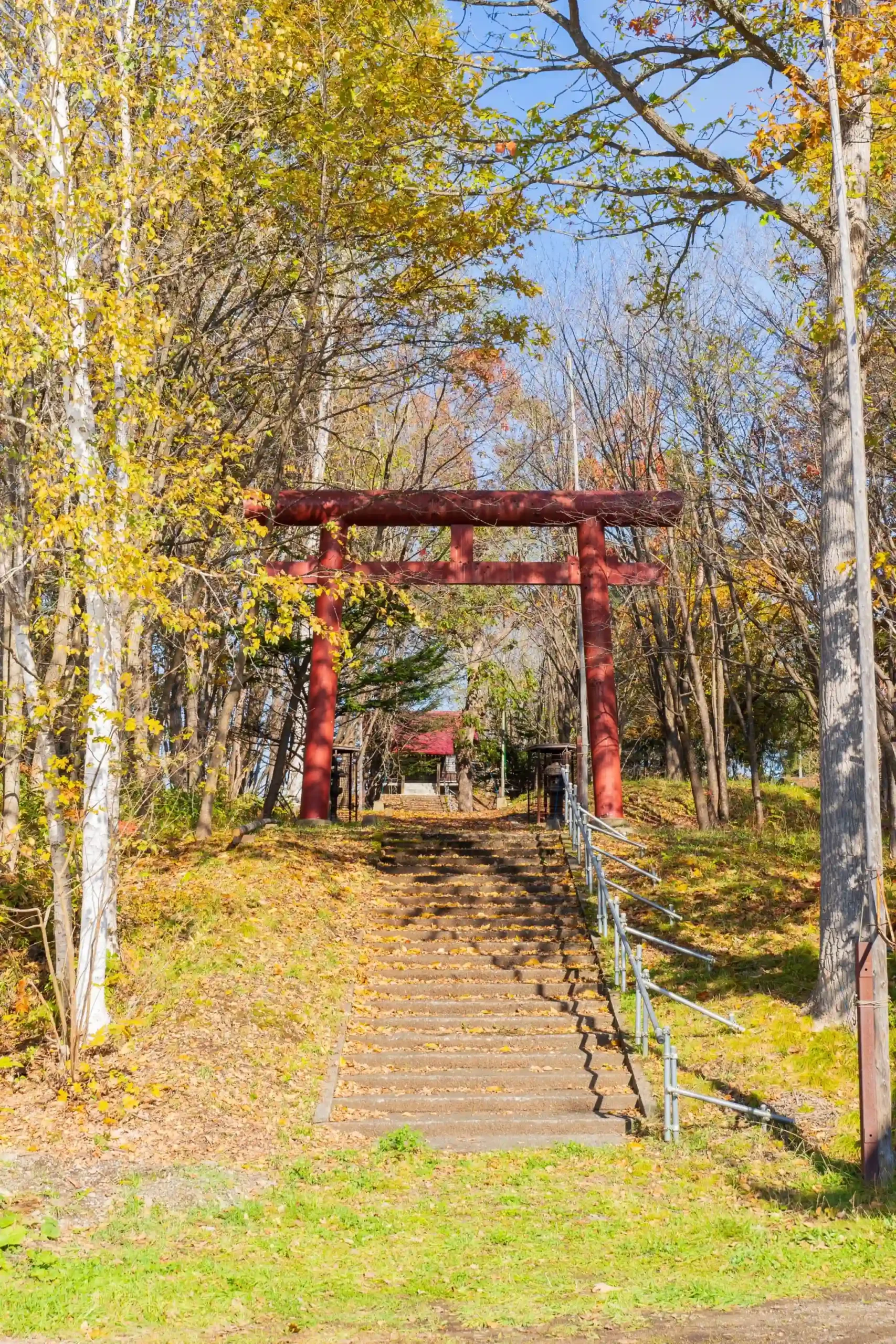 旭川の紅葉、一棟貸しコテージSnow Resort Hermitage